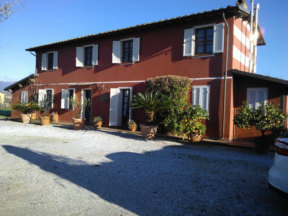 La Locanda Di Filo Bed and Breakfast Lido di Camaiore Exteriör bild